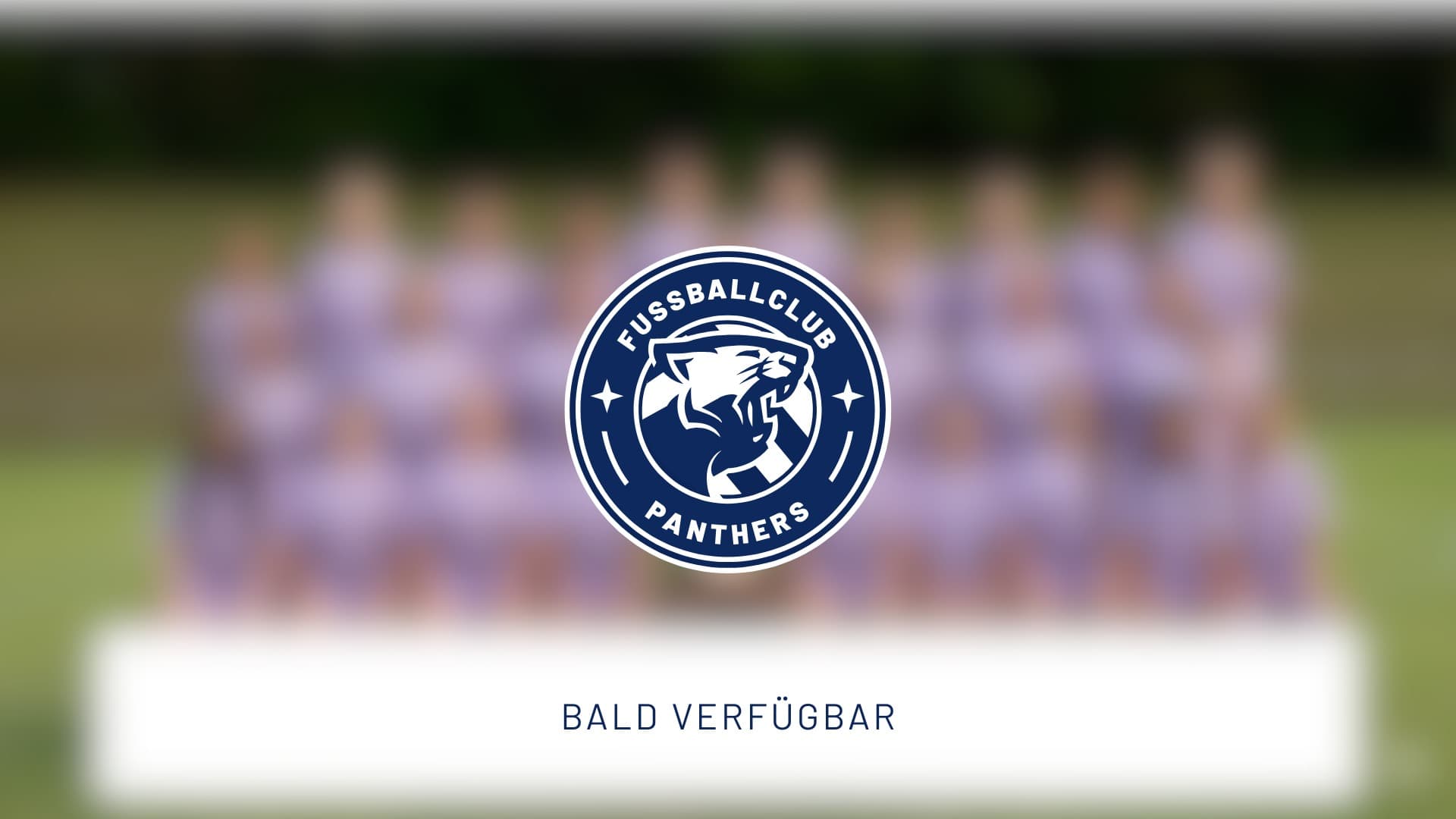 Mannschaftsfoto FC PANTHERS U15W